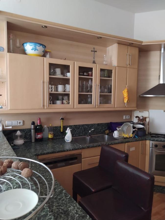 Private Room In Shared Luxurious Palace Like Apartment With 2 Bathrooms Including Whirlpool And Virtual Reality Prag Eksteriør billede