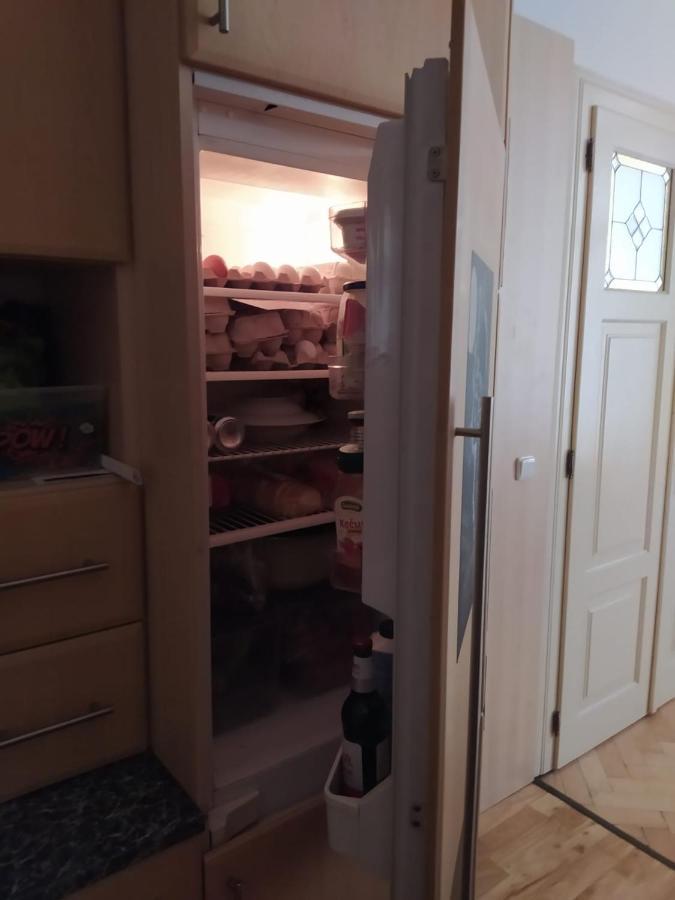Private Room In Shared Luxurious Palace Like Apartment With 2 Bathrooms Including Whirlpool And Virtual Reality Prag Eksteriør billede